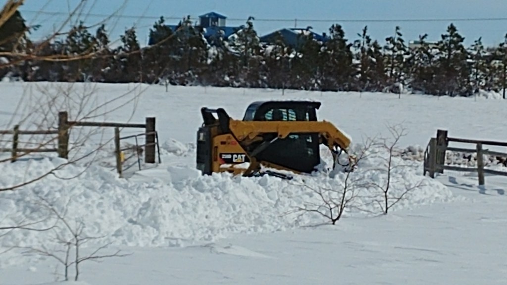 snow removal services in cheyenne www.cheyennehauling.com