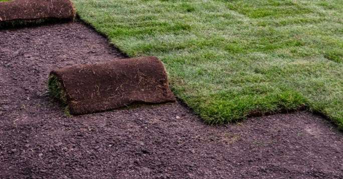 sod installation services www.cheyennehauling.com