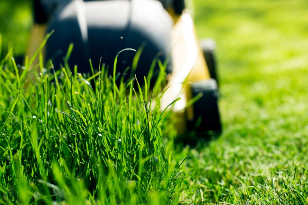 lawn mowing tips www.cheyennehauling.com