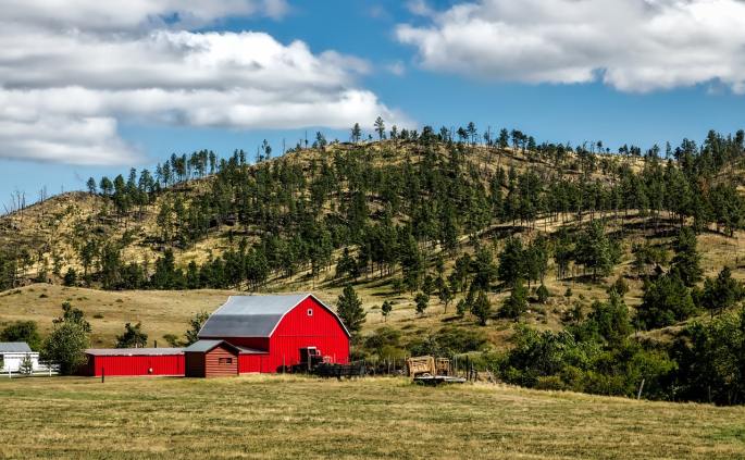 shed and barn cleanouts in cheyenne www.cheyennehauling.com