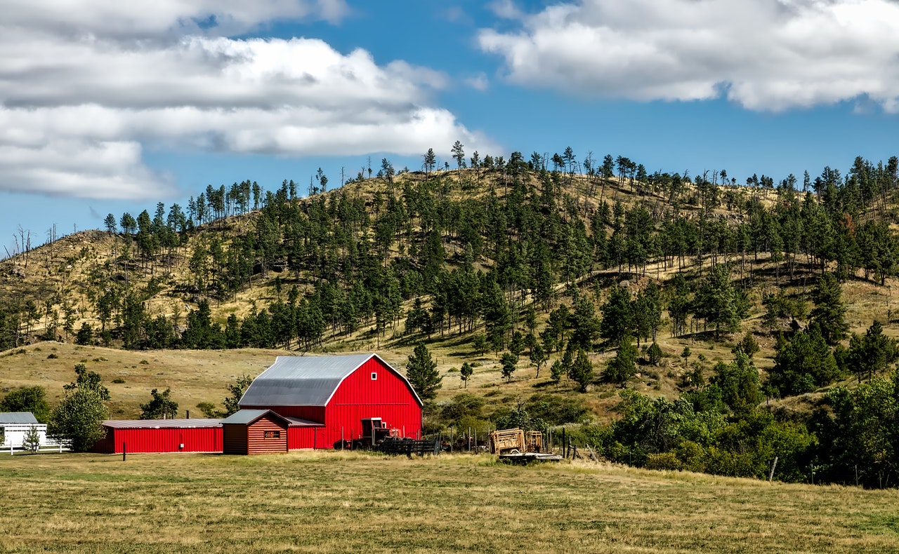 shed and barn cleanouts in cheyenne www.cheyennehauling.com