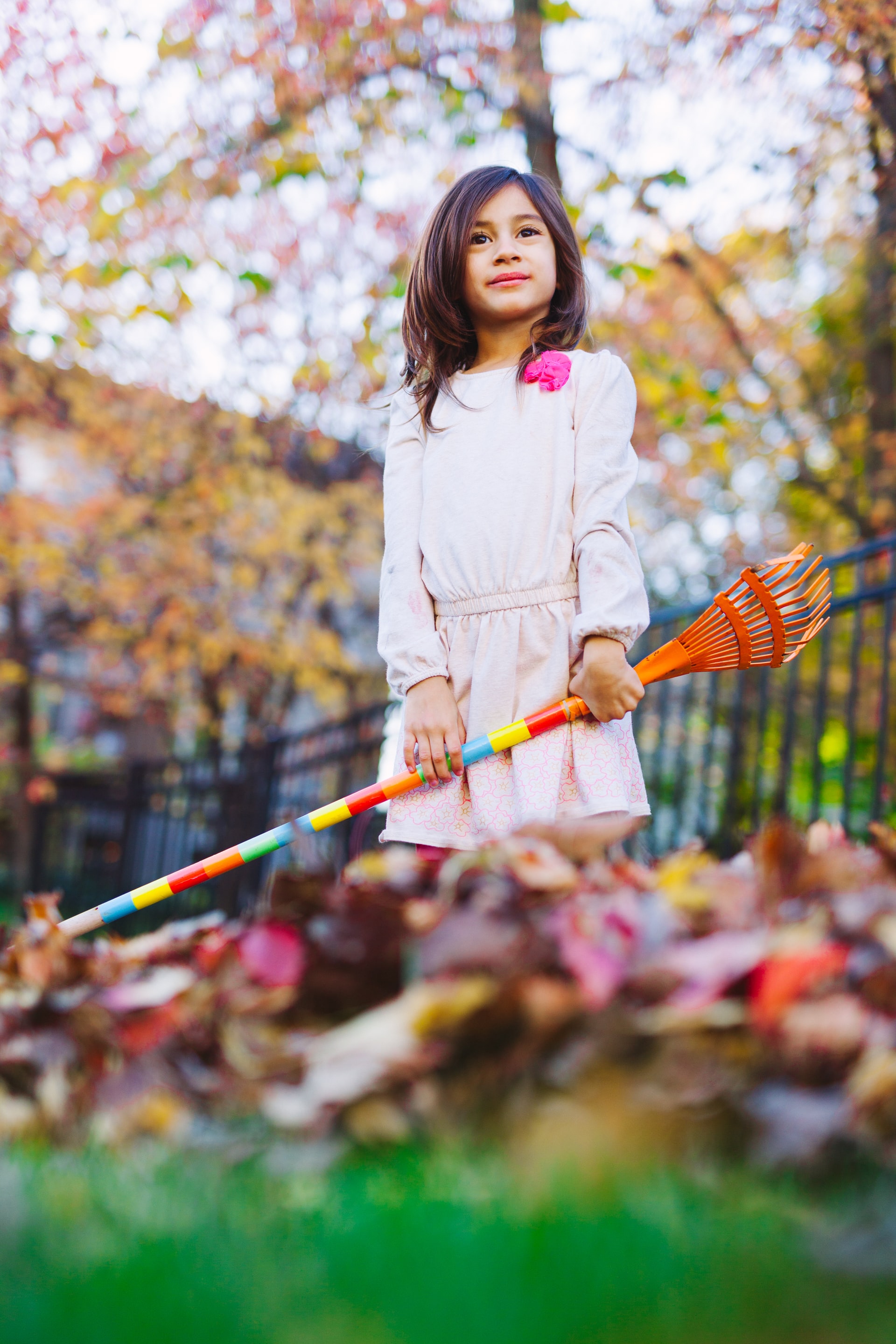 photos of raked leaves 3 tips to dispose of fall leaves www.cheyennehauling.com