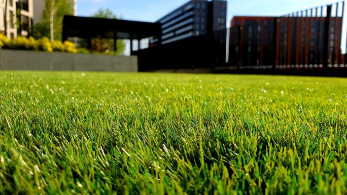 lawn care tips to beat the summer heat www.cheyennehauling.com
