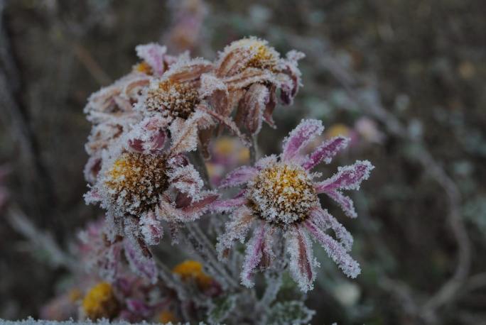 3 lawn care tips for winter www.cheyennehauling.com