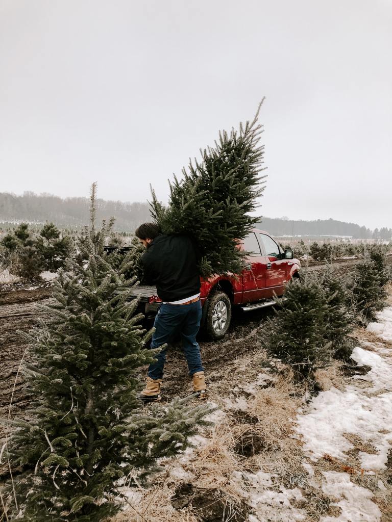holiday junk removal christmas tree www.cheyennehauling.com