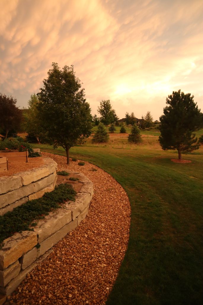 The Importance of Hiring Professional Excavation Contractors in Cheyenne www.cheyennehauling.com