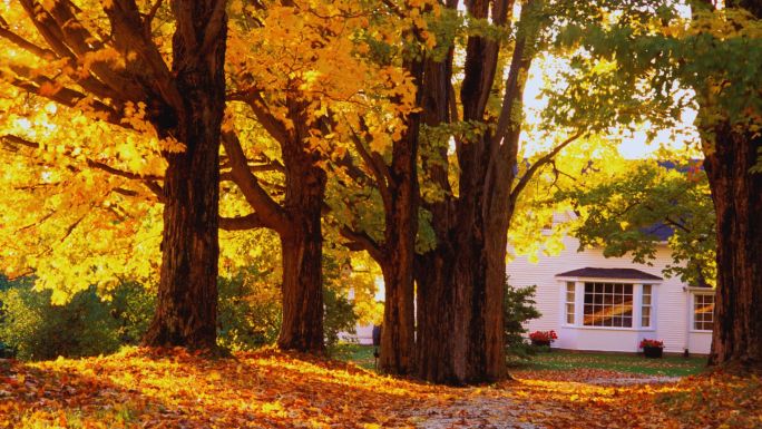 photo of Best Fall Home Projects for Junk Removal www.cheyennehauling.com